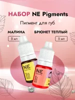 Набор NE Pigments Пигмент "Малина" №204 и Пигмент "Брюнет теплый" №106